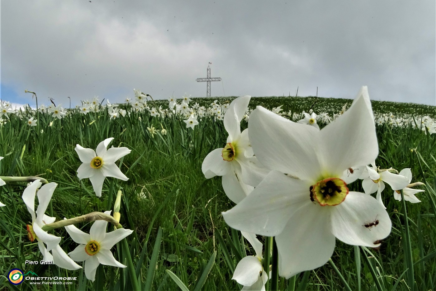 57 Alla croce del Linzone (1392 m).JPG